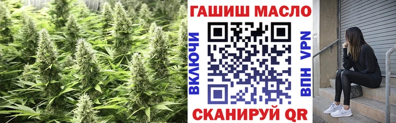 ТГК THC oil  Купить закладки  Иннополис 