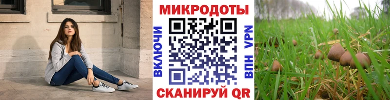 Галлюциногенные грибы мицелий  Купить закладки  Иннополис 